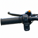Load image into Gallery viewer, Coolbaby Mall X7 3-Wheel Electric Scooter | 600W Brushless Motor | 48V 20Ah Battery | 3-Seater Mobility Scooter