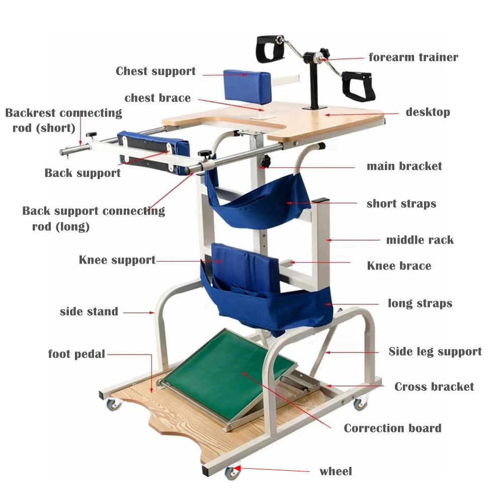 COOLBABY SSZ-ZLJ02  Adult Stroke Hemiplegia Rehabilitation Training Equipment Rehabilitation Training Standing Frame Adjustable Lower Limb Rehabilitation Equipment - coolbabymalls