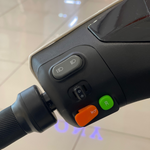 Load image into Gallery viewer, D-01 Electric Bike